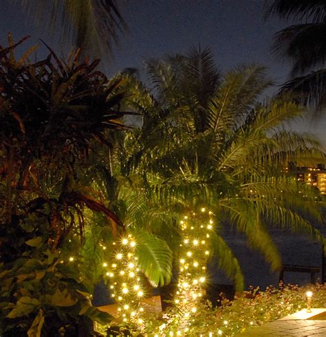 String Up Some Class String Lighting For Your Wilmington Palm Trees