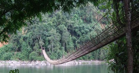 Bamboo Bridge In Kabu Tribal Village In Arunachal Pradesh Bamboo