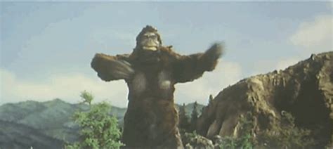 Share the best gifs now >>>. King Kong Vs. Godzilla | King kong vs godzilla, King kong ...