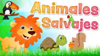 Start studying los animales en español. Los ANIMALES SALVAJES en español para niños con sonidos ...