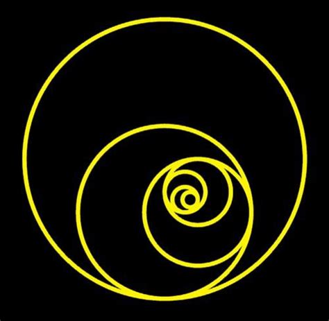 Its A Shape That Seems To Inspire Others Too Fibonacci Spiral