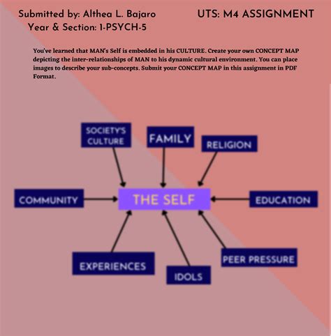 Solution Concept Map Self Is Embedded In Culture Studypool