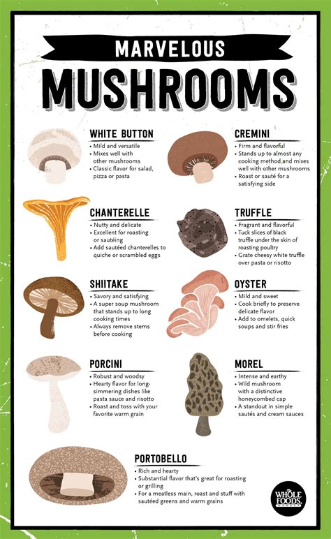 Types Of Edible Mushrooms All The Types Of Edible Mushrooms Explained