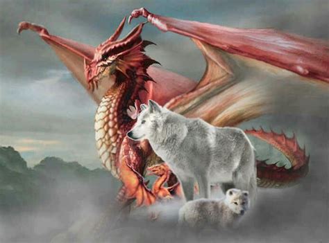 Dragon And Wolves Dragon Wolf Dragon Pictures Dragon Artwork