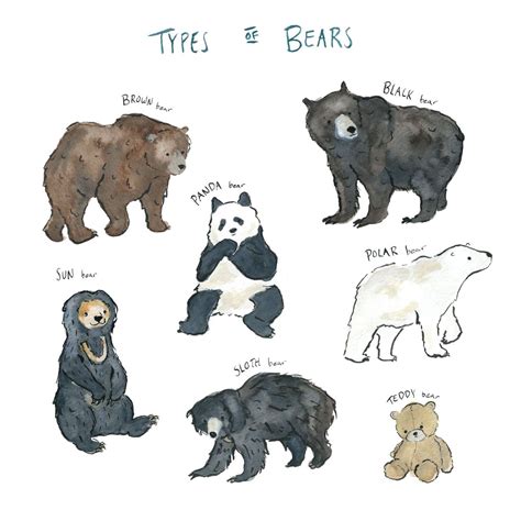 Pin On Teddy Bears And Bears