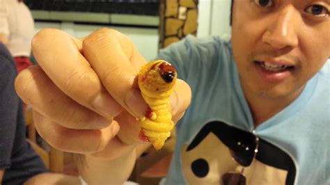 Eating Live Larvae Coconut Worm Vietnam 2014 Coconut Worm Cute Larvae