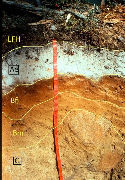 Soil Classification And Distribution Digging Into Canadian Soils