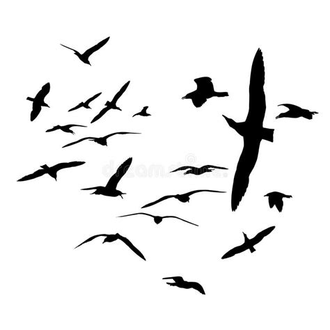 Black On White Silhouettes Flock Of Sea Gull Birds Stock Vector