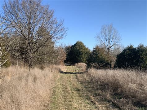 Hunting Land For Lease In Kentucky Dreferenz Blog