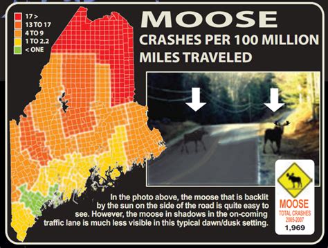 Environmental Geography Got Moose