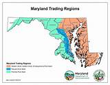 Maryland Credit Report Photos