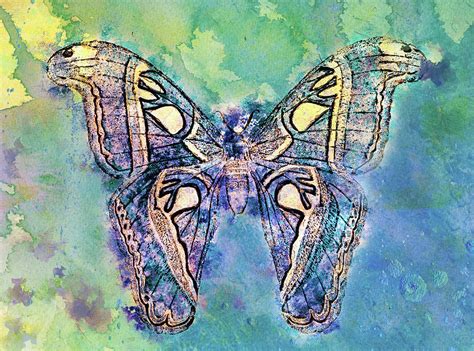 Freedom Butterfly Wall Art Mixed Media By Georgiana Romanovna Fine