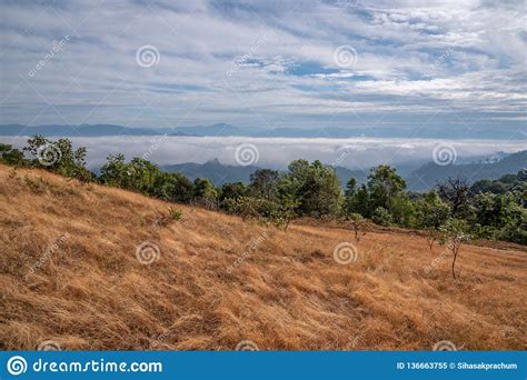 Mountain Fog Sky Clouds Landscape Stock Image Image Of Fogs Morning