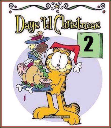 Only 2 Days Til Christmas Garfield Quote Pictures Photos