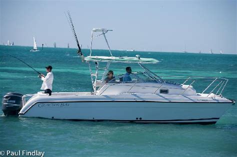 Key West Sea Life Private Charters All You Need To Know