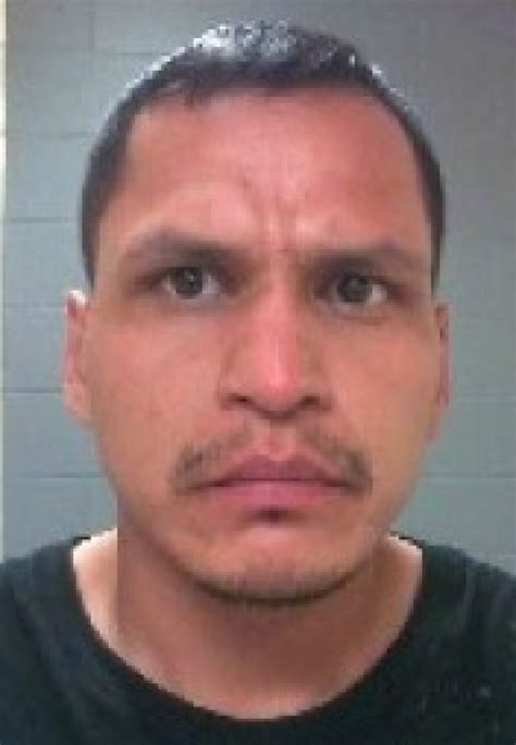 High Risk Sexual Offender Released In Calgary Police Warn Cbc News