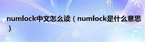 numlock中文怎么读（numlock是什么意思） 草根大学生活网