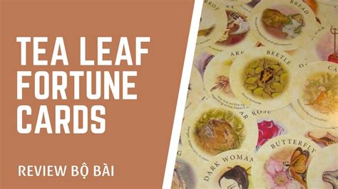 Review Bộ Tea Leaf Fortune Cards Của Tác Giả Rae Hepburn Và Shawna