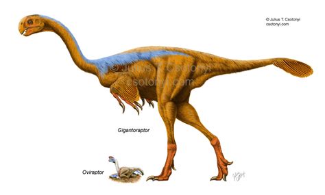 Image - Gigantoraptor erlianensis.jpg - Cool Dino Facts Wiki Check out amazing gigantoraptor artwork on deviantart.
