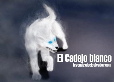 El Cadejo Blanco Leyendas De El Salvador