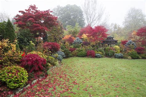 Dann findest du hier viele ratschläge, welche arbeiten im herbst im garten anstehen. Bilder von England Walsall Garden Natur Herbst Garten ...