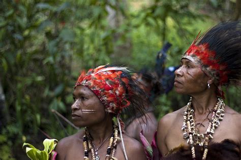 Papua New Guinea Tribeswomen Photograph By Polly Rusyn Fine Art America