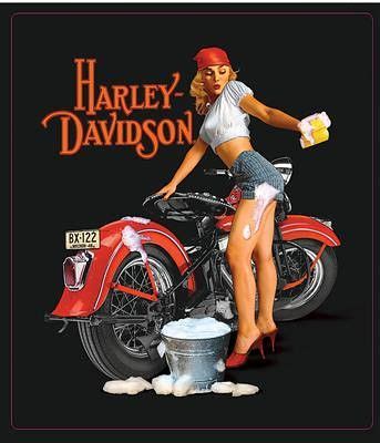 Harley Pinup Girl Wash W T In Harley Davidson Classic