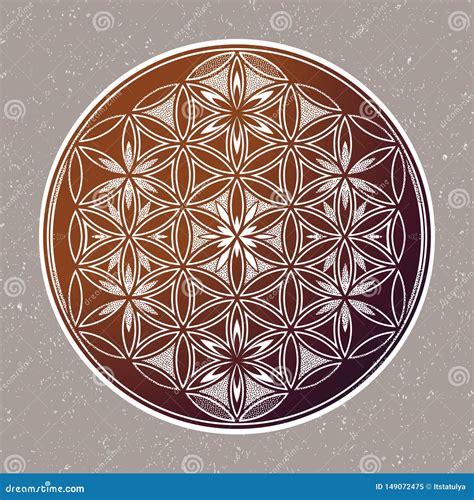 Flower Of Life Intersecting Circles Forming Stock Illustration
