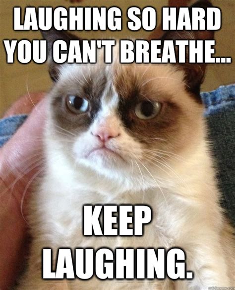 Laughing Cat Memes Image Memes At