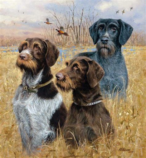 Great Hunting Dogs Ii Drahthaars Painting By Jim Killen