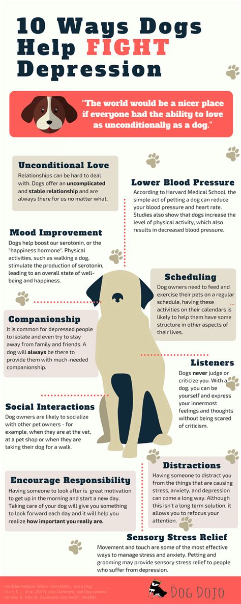 Check spelling or type a new query. 10 Ways Dogs Help Fight Depression | FitBark