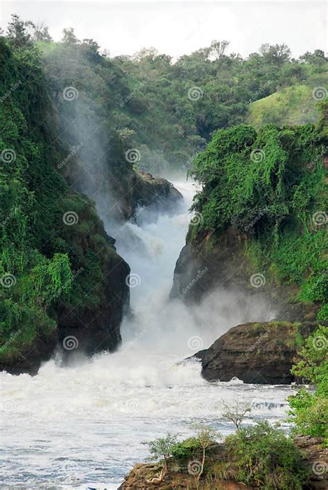 Murchison Falls On The Victoria Nile Uganda Stock Image Image Of