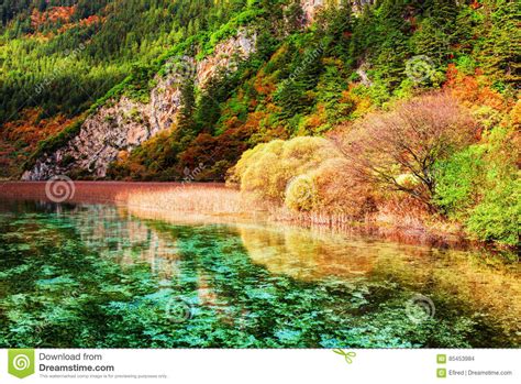Beautiful View Of Amazing River With Crystal Clear Water Stock Photo