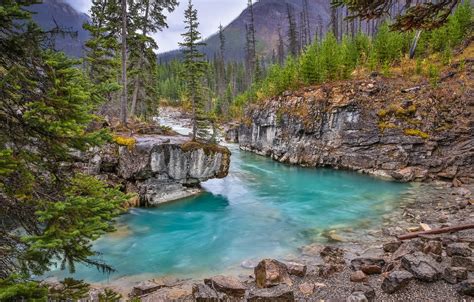 Wallpaper Forest Trees River Rocks Canada Canada British Columbia