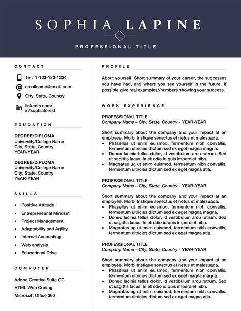 Professional Resume Instant Download Cv Template Resume Template Sales