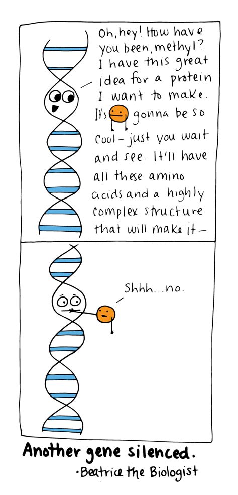 Gene Silencing Beatrice The Biologist Science Cartoons Science Memes
