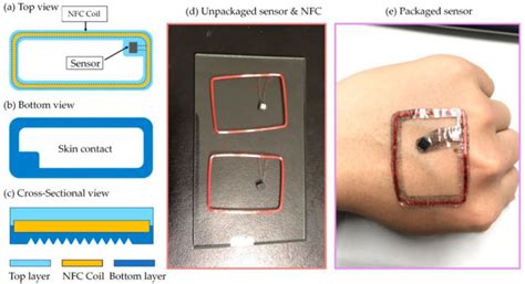 Figure 5 From Graphene Enhanced Polydimethylsiloxane Patch For Wearable