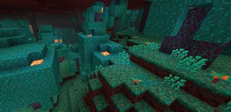 Theory Warped Forests Exist In The Nether And Spawn Enderman Because