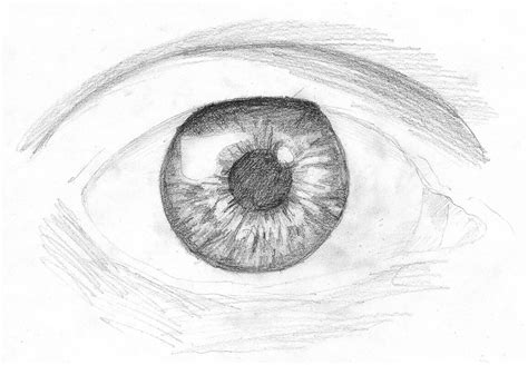 How To Draw How To Draw An Eye In Pencil