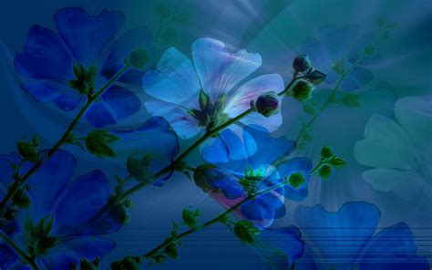 Download Blue Flower Spring Leaf Stem Blue Artistic Flower Hd Wallpaper