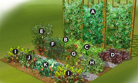25 Brilliant Vegetable Garden Layout Ideas for Beginners - Garden and Happy