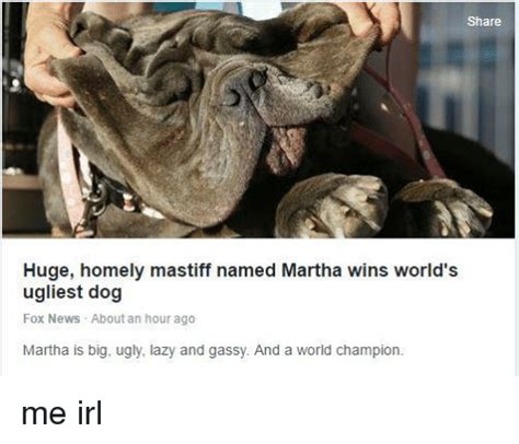 Share Huge Homely Mastiff Named Martha Wins Worlds