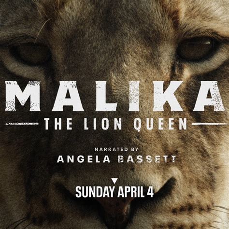 Malika The Lion Queen This Easter Meet Malika The Lion Queen Sunday