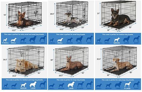 Dog Crate Size Chart A Perfect Overview For Your Dogs Crate Dimensions