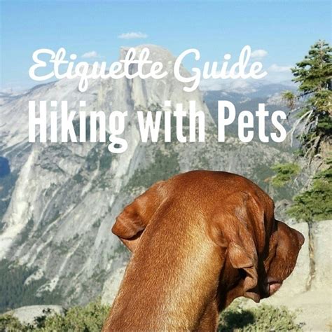 Guide To Hiking Etiquette With Dogs