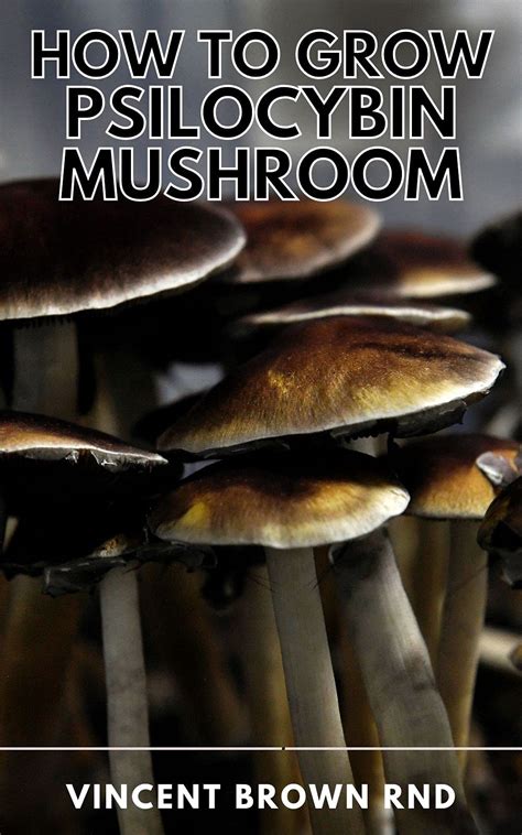 How To Grow Psilocybin Mushroom The Ultimate Step By Step Guide To
