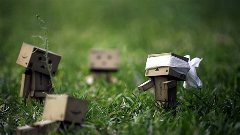 Danbo Figurines Danboard Cardboard Robots Hide And Seek Grass Hd