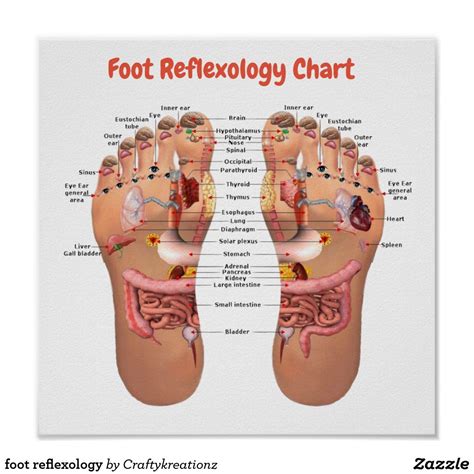Foot Reflexology 12x12 Poster Zazzle Foot Reflexology Reflexology