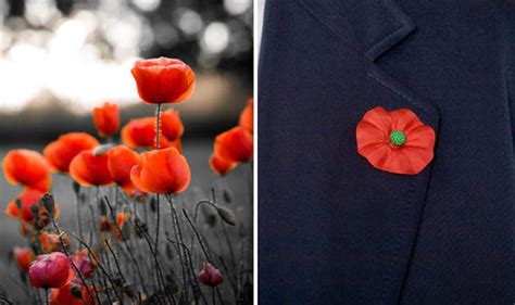 Remembrance Day 2018 How Should You Wear A Poppy Uk News