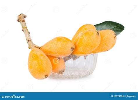 Isolated Group Of Loquat Fruits Stock Photo Image Of Healthy